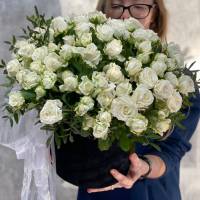 Букет из 31 белой кустовой розы R490